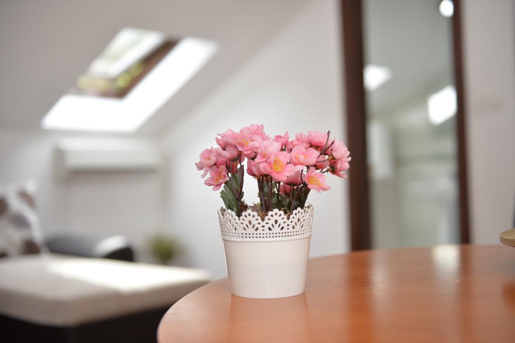 Apartment Atina Котор Экстерьер фото